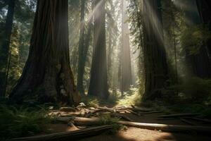 Redwood forest sunrays. Generate Ai photo