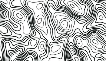 abstract pattern with lines. Background of the topographic map. vector