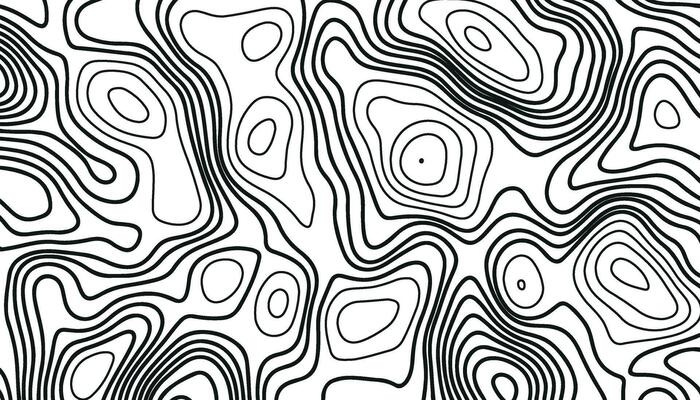 abstract pattern with lines. Background of the topographic map.
