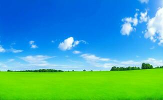 Green meadow and blue sky, Generative AI Illustration. photo