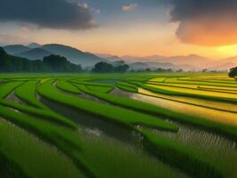 Green ecology rice field, Generative AI Illustration. photo
