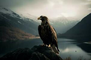 águila naturaleza lago. generar ai foto