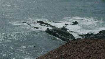 lanzarote costero línea con Oceano olas golpear lava rocas, canario islas video