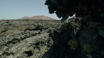 gris y aburrido paisaje con lava rocas lanzarote, canario islas video
