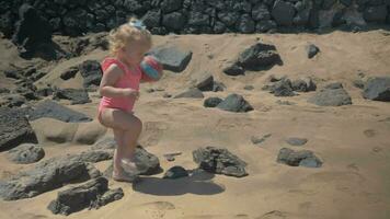 pequeño niña caminando a el playa video