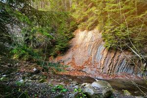 A wall made of exposed rock in the autumn forest of the Ukrainian Carpathians. Mountain river. Ancients layers of cooled down magma, beautiful patterns of natural untreated stone. Selective focus photo