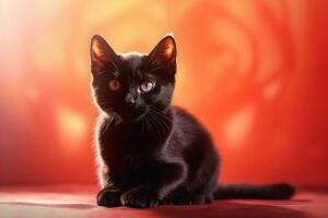 gato negro rojo ligero. generar ai foto