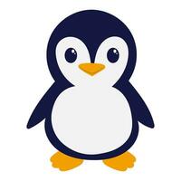 cute penguin vector illustration