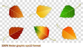 Set of autumn leaves, different colors with shadow. Concept - autumn, autumn mood. Isolated autumn elements for design. birch leaves vector