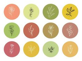 Hand drawn set of floral elements, flower, leaves. highlight icon vector