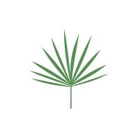 Tropical green leaves isolated  illustration vector