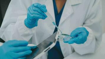 investigadores de atención médica que trabajan en el laboratorio de ciencias de la vida. joven científica investigadora y supervisora masculina senior preparando y analizando portaobjetos de microscopio en el laboratorio de investigación. video