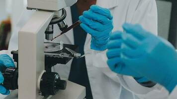 Health care researchers working in life science laboratory. Young female research scientist and senior male supervisor preparing and analyzing microscope slides in research lab. video