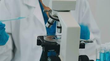 Health care researchers working in life science laboratory. Young female research scientist and senior male supervisor preparing and analyzing microscope slides in research lab. video