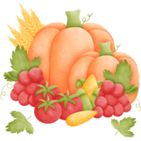 Watercolor thanksgiving day, Watercolor Agriculture products isolate with background. png