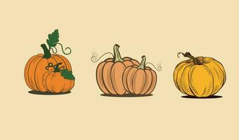 pumpkins in vector with set for icons and decorations in yellow background. Vector illustration.