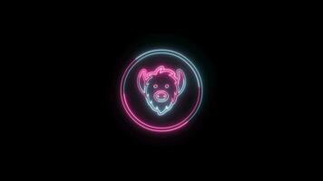 Social Media icon with neon effect on black background video
