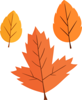 ilustração das folhas de outono png