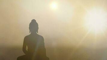 Buddha sitting meditation with glowing light effect video