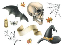 Human skull with bat wings, moth, paper scroll, witch hat, cobweb and autumn maple leaves. Hand drawn watercolor illustration for Halloween. Set of isolated elements png