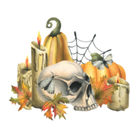 Human skull with orange pumpkins, candles, night moths, cobwebs and autumn leaves. Hand drawn watercolor illustration for Halloween and Day of the Dead. Isolated composition png