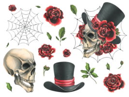 Human skull in a top hat with red roses and cobwebs. Hand drawn watercolor illustration for Halloween, day of the dead, Dia de los muertos. Set of isolated elements png