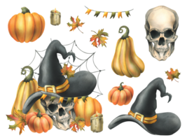 Human skull in a black witch hat with orange pumpkins, cobwebs, candles and autumn maple leaves. Hand drawn watercolor illustration for Halloween. Set of isolated elements png