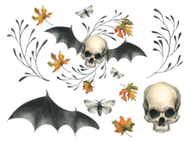 Human skull flying with bat wings, night moths cobwebs, and autumn maple leaves. Hand drawn watercolor illustration for Halloween. Set of isolated elements png