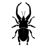 Beetle Silhouette Illustration PNG Transparent Background