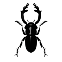 Beetle Silhouette Illustration PNG Transparent Background