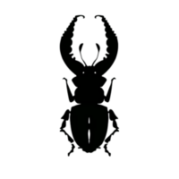 Beetle Silhouette Illustration PNG Transparent Background