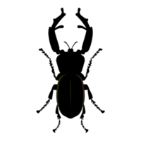 Käfer Silhouette Illustration png transparent Hintergrund