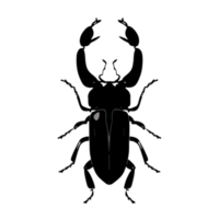 scarafaggio silhouette illustrazione png trasparente sfondo