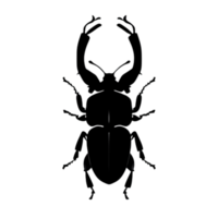 Käfer Silhouette Illustration png transparent Hintergrund