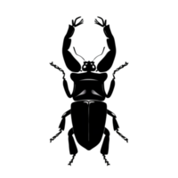 Beetle Silhouette Illustration PNG Transparent Background