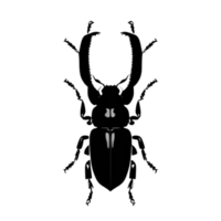 Beetle Silhouette Illustration PNG Transparent Background