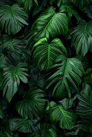 green tropical background with monstera leaves.ai generated photo