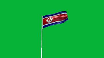 North Korea National Flag video