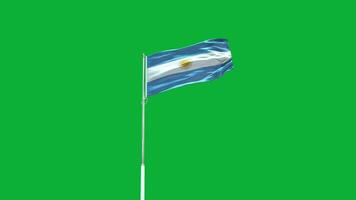 Argentina National Flag video