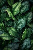 green tropical background with monstera leaves.ai generated photo