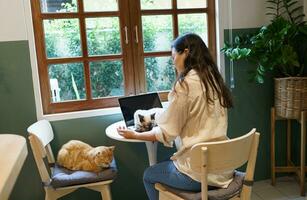 woman working from home with cat. cat asleep on the laptop keyboard. assistant cat working at Laptop photo
