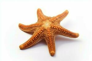 Sea star. Generate Ai photo