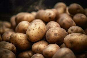 Ripe potatoes harvest. Generate Ai photo