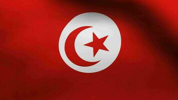 tunisiens flagga vajar video