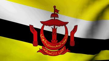 brunei darussulam Flagge video