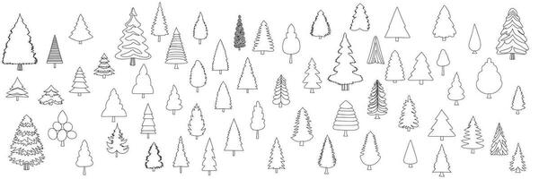 Collection of pine tree in doodle style. Hand drawn fir tree isolated on white background. Outline pine trees. Large set of spruces. Christmas trees in doodle style. Vector illustraiton.