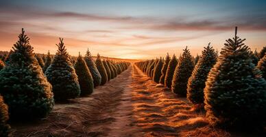 Navidad árbol creciente en un guardería cerca el bosque. arboles para el día festivo. de cerca Disparo - ai generado imagen foto