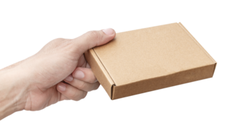 hand- houden klein karton doos png