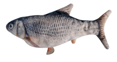 Carp shaped pillow png