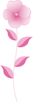 Gradient pink flower with leaves, png file no background